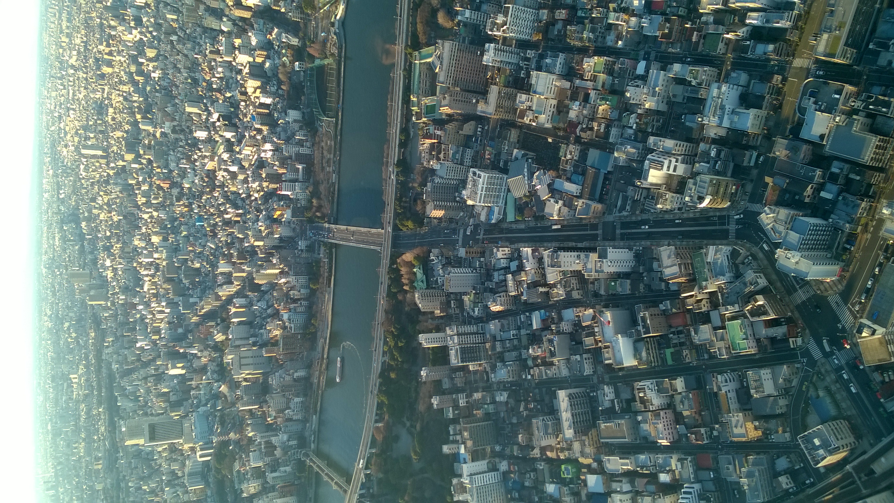 tokyoskyline
